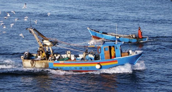 pescatori sul piede di guerra per l'invasione di delfini alle Eolie