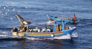 Un prezzo politico per il gasolio, i pescatori trapanesi fermano le barche