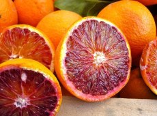 Boom furti di arance in Sicilia, “Situazione allarmante, a rischio il reddito dei produttori”