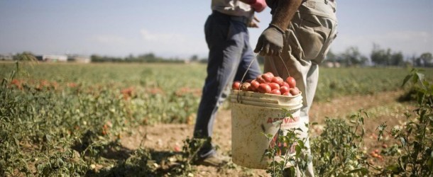 Latina – Bracciante licenziato, picchiato e gettato in un canale