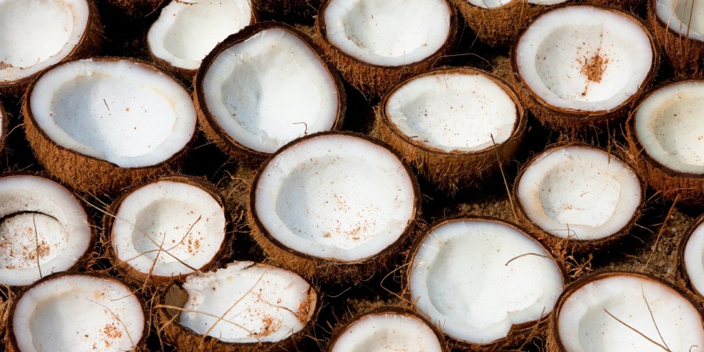 olio di cocco vergine contro il covid-19