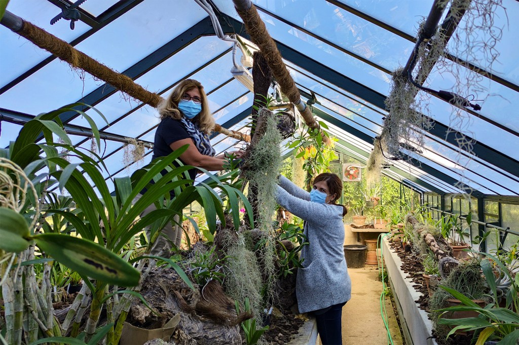 orto botanico art bonus