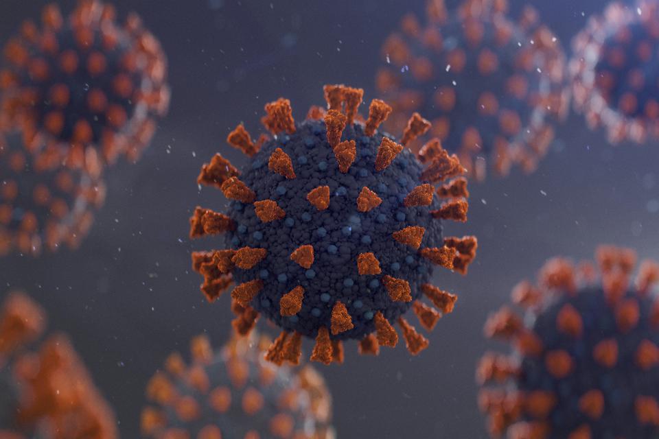 coronavirus variante inglese