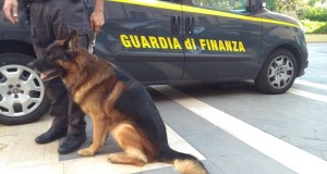 Droga, armi e discarica abusiva, 5 misure nel Siracusano: sequestro da 660 mila euro