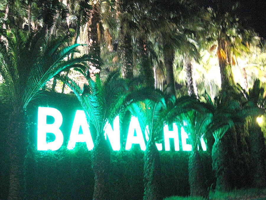 covid19 banacher discoteca ristori