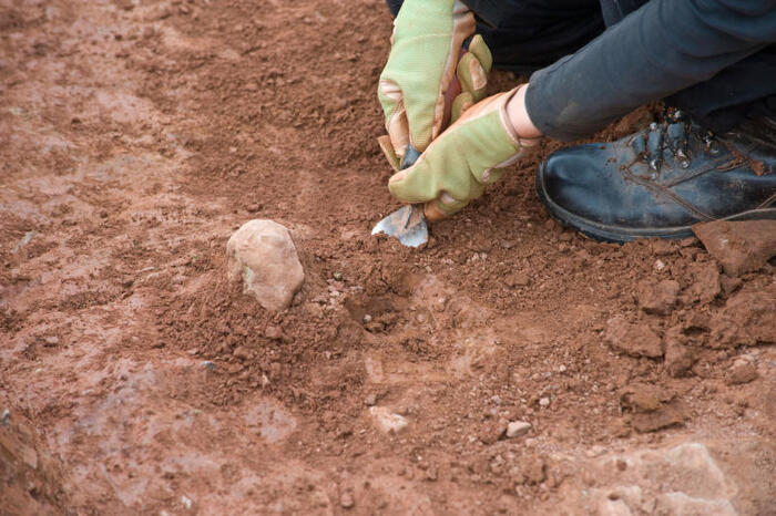 archeologi scavi bando amgenergia