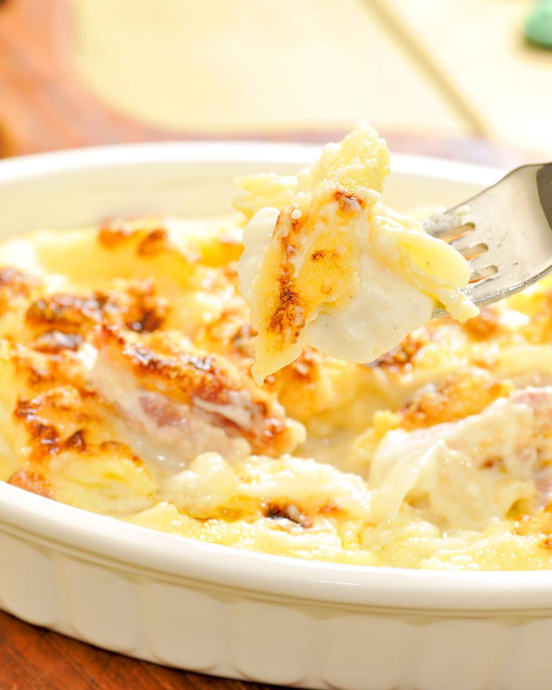 Pasta al forno ai 4 formaggi, la ricetta "in bianco" dello chef Stefano