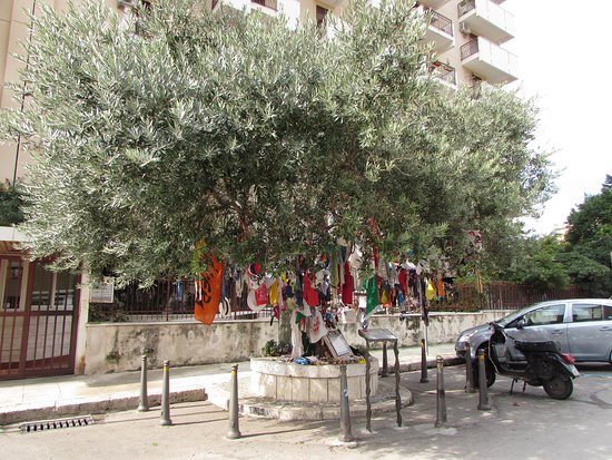 strage via damelio albero pace borsellino