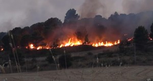 Incendi in provincia di Palermo, a Termini Imerese cade un palo dell’illuminazione su un’auto