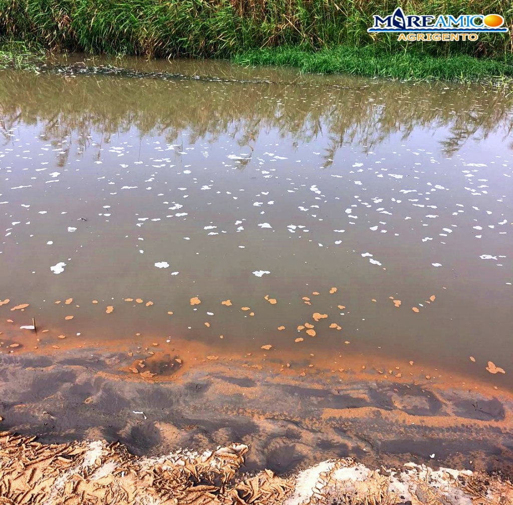 inquinamento fiume modione mare amico