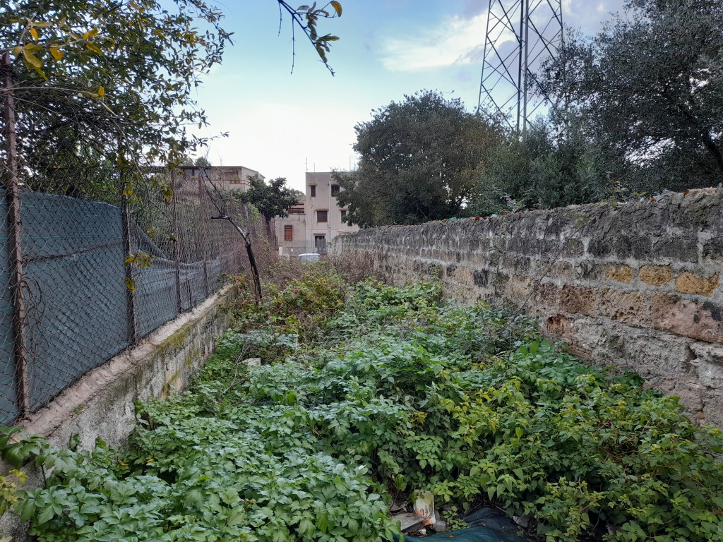 Borgo Molara, strada inghiottita erbacce