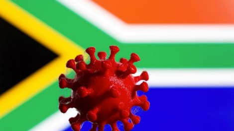 Covid19, variante Sud Africana