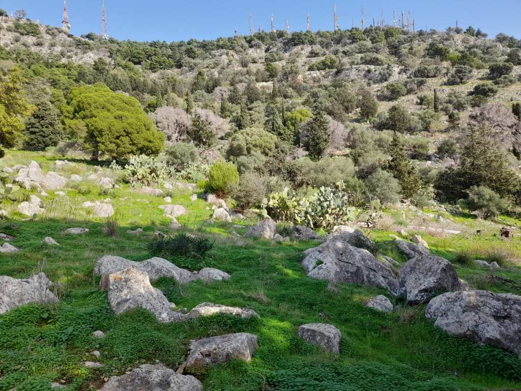 Monte Pellegrino, Scala Vecchia, Palermo