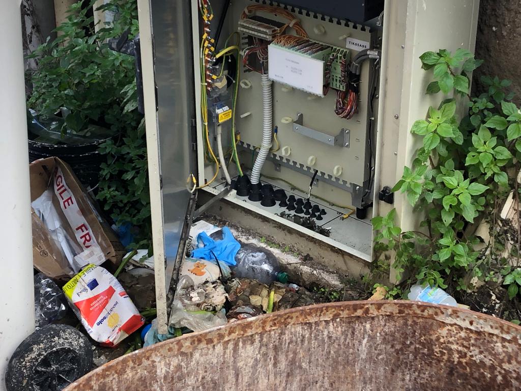 Ratti divorano cavi linea, Palermo