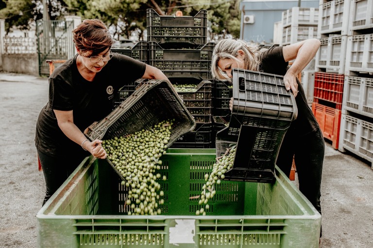 violenza donne evo sicily azienda