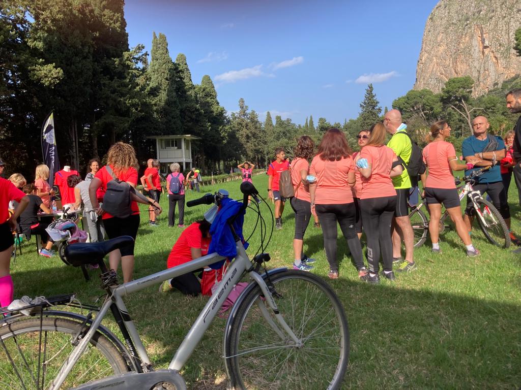 domenica favorita successo visitatori