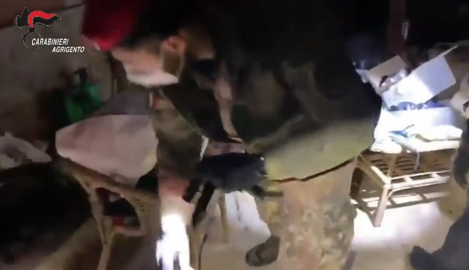 Sgominata organizzazione dedicata allo spaccio di droga