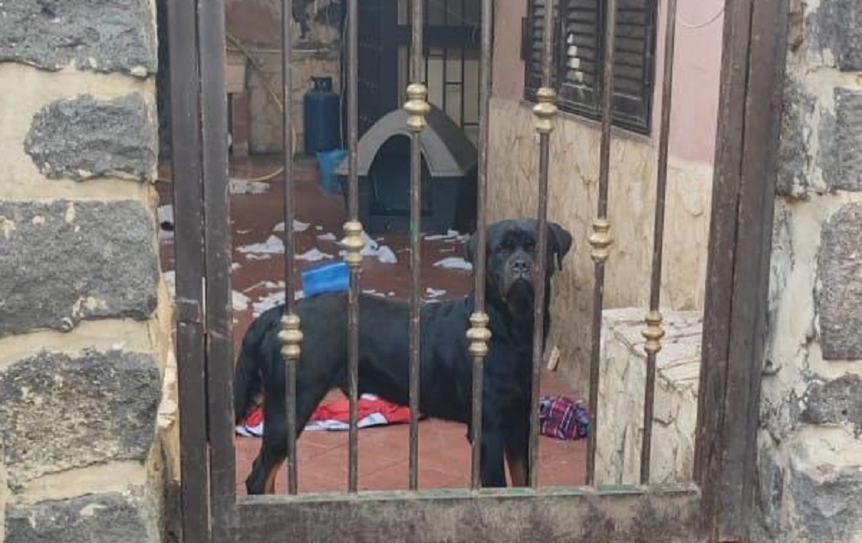 Contestate anche violazioni alle misure anti covid19