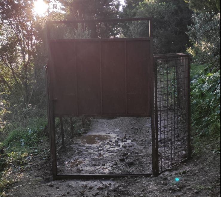 Gabbie anti-cinghiali, cimitero dei Rotoli