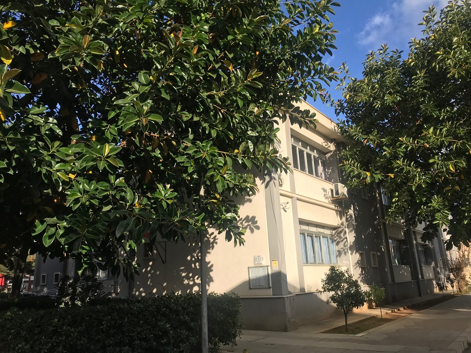 Incursione al plesso di via Rosso di San Secondo