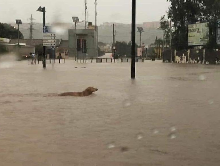 Fondi per i territori ad alto rischio idrogeologico