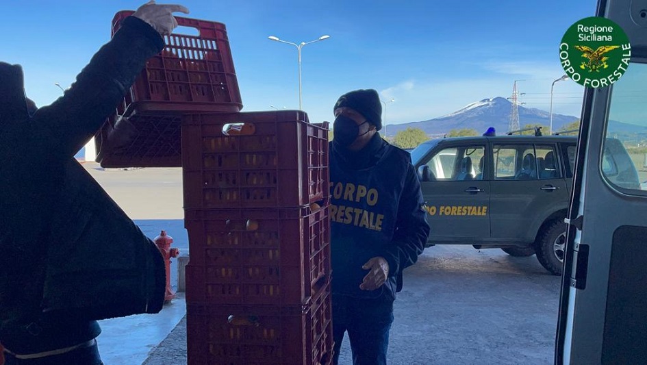 Arance sequestrate ai bisognosi