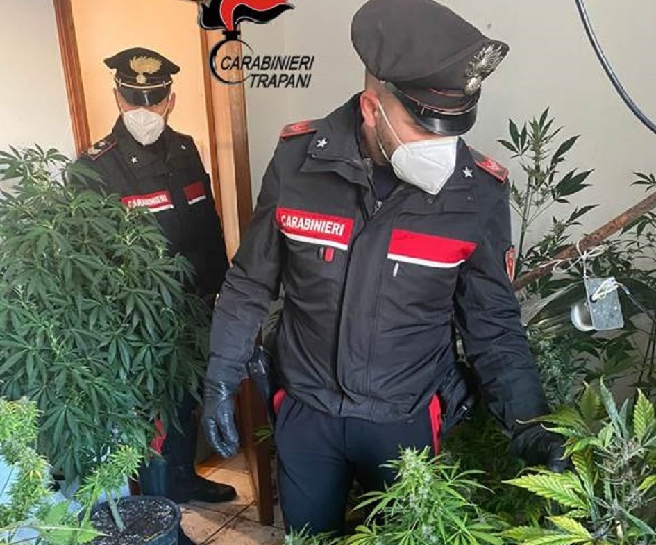 Serra di marijuana scoperta in un appartamento di Marsala