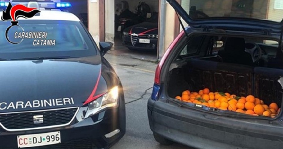 La fuga dei ladri di arance bloccata dai carabinieri