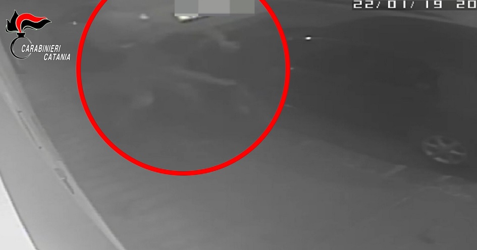 Baby Gang scoperta nel catanese