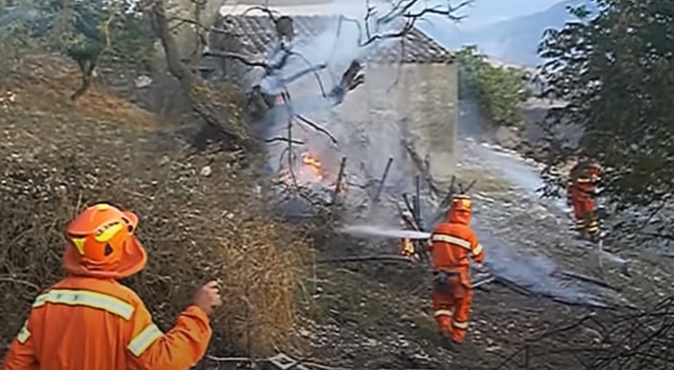 Obbligo vaccinale al covid19 anche per il corpo forestale