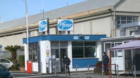 Pfizer Catania