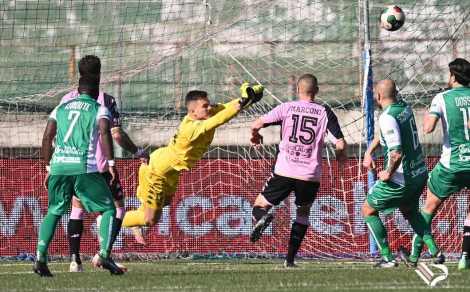 Massolo, portiere del Palermo, impegnato ad Avellino