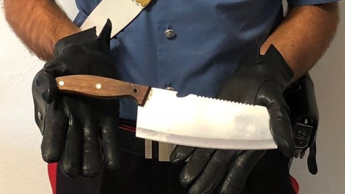 Minaccia La Madre Con Una Mannaia Denunciati Due Figli Drogati E 