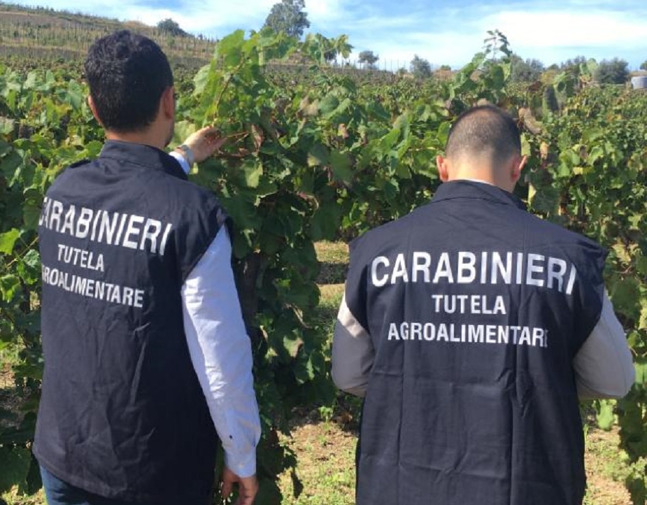 Denunciati due imprenditore per truffa all'Ue