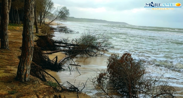 La spiaggia di Eraclea Minoa sta scomparendo, la denuncia di MareAmico