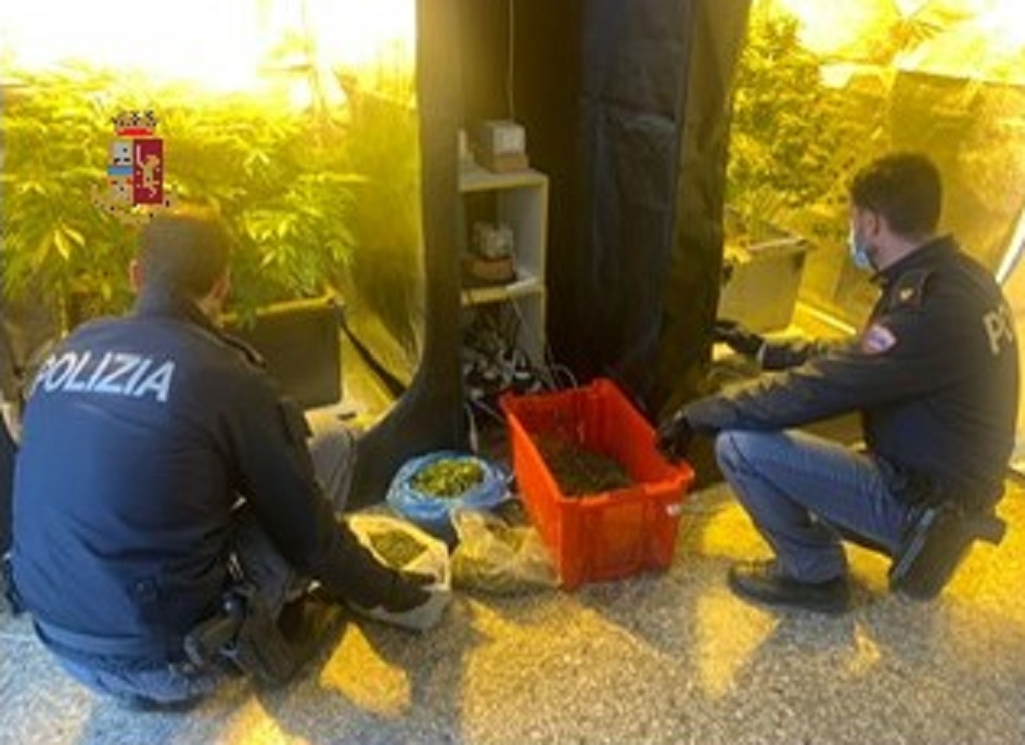 Scoperta a Messina coltivazione casalinga di cannabis