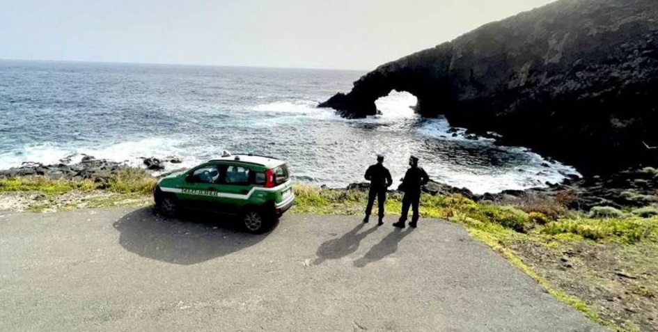 Scoperte piante esotiche vietate in area protetta a Pantelleria