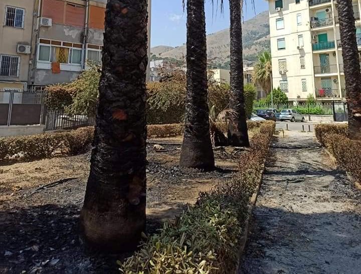 Via Mozia, Borgonuovo, Palermo