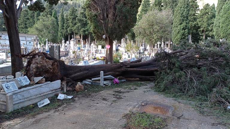 Il maltempo devasta il cimitero dei Rotoli