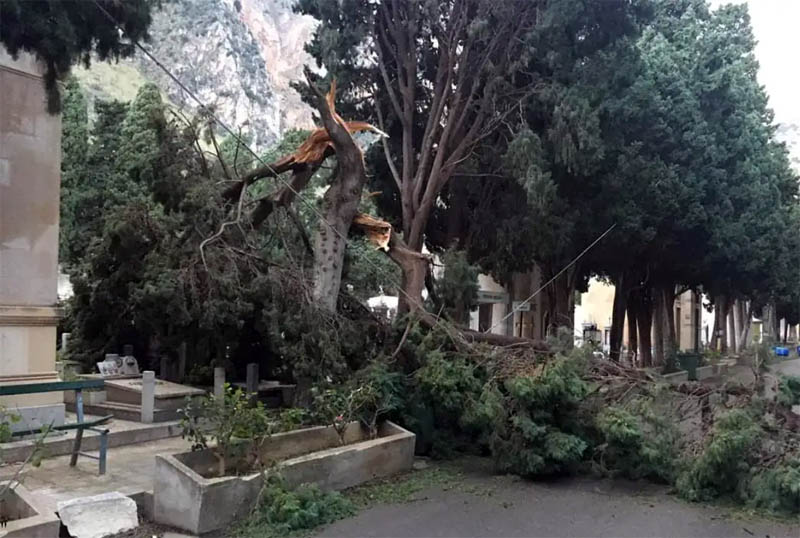 I danni del maltempo al cimitero dei Rotoli di Palermo