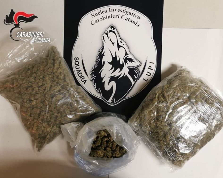 Arrestato pusher col reddito di cittadinanza a Catania
