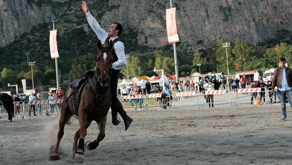 La fiera mediterranea del cavallo a Palermo ha avuto grande successo
