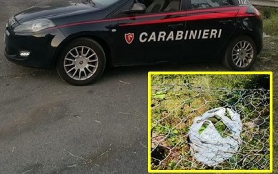 Arrestato in flagrante ladro di avocado