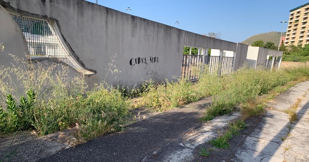 Erba alta a Bonagia, Palermo