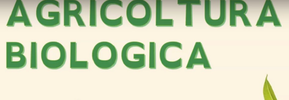 Finanziati progetti per l'agricoltura biologica