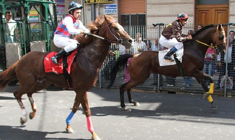 Cavalli per il Palio dell'Ascensione a Floridia