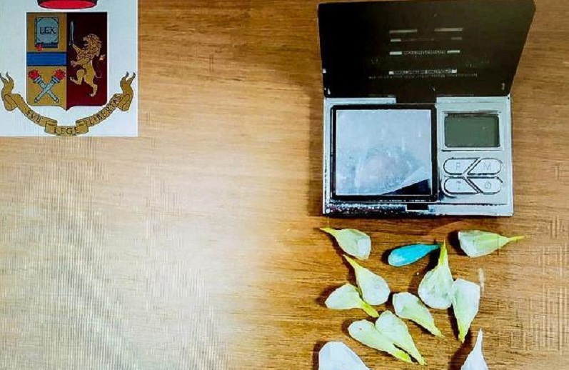 La coca sequestrata a Lentini