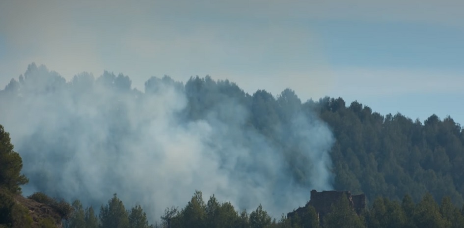 Primato in Sicilia per incendi boschivi