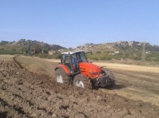 Sviluppo rurale in Sicilia, arriva il bando del Psr da 2.6 milioni di euro per promuovere eccellenze
