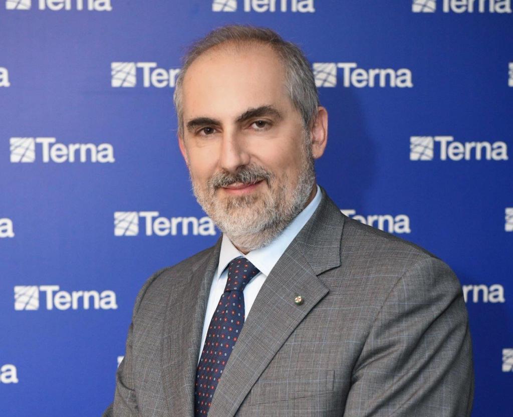 L'amministratore delegato di Terna Stefano Donnarumma